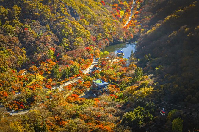 Mt. Naejang Sightseeing Trip From Seoul - Exploring Mt. Naejangs Attractions