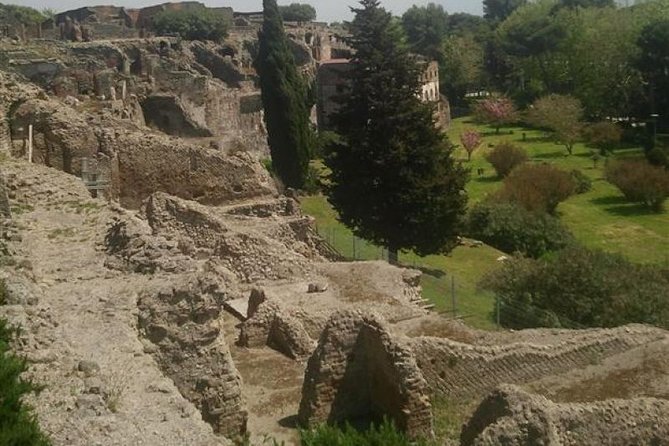 Naples Shore Excursion: Pompeii Half Day Trip From Naples - Highlights of the Excursion