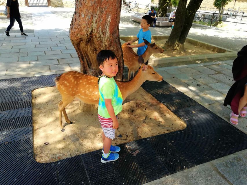 Nara: Nara Park Private Family Bike Tour With Lunch - Preparation Guidelines