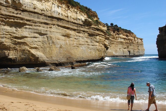 Premium Great Ocean Road Day Tour: Surf Coast Route 12 Apostles, Loch Ard Gorge - Reviews From Past Travelers