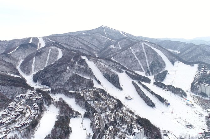 [Premium Private Ski Tour] Pyeongchang Olympic Site (Private Ski Lesson) - Essential Information