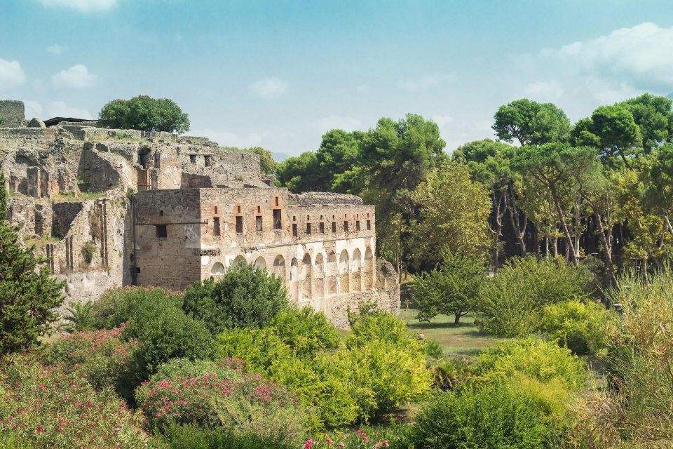 Private Full Day Tour Sorrento Coast and Herculaneum by Car - Important Information