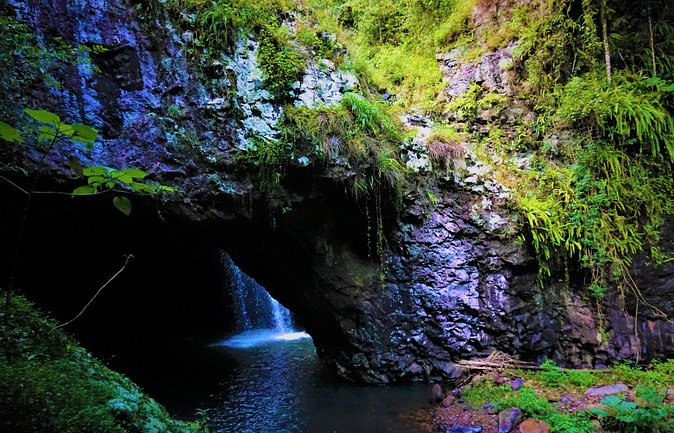 Rainforest & Waterfalls Experience - Whats Included in the Tour