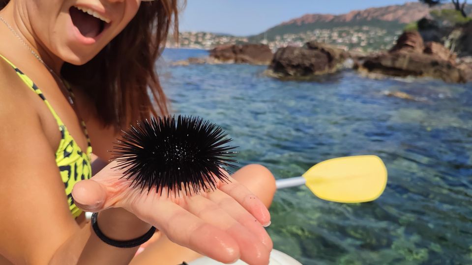 Rando Kayak Agay Guided Visit - Whats Included in the Tour