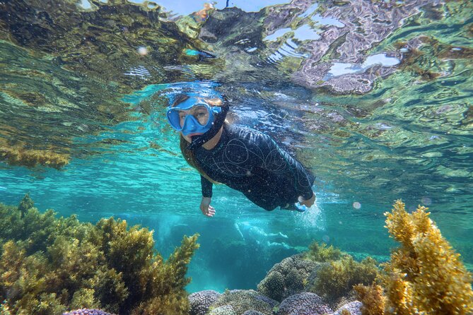 Rottnest Island Guided Snorkel Boat Experience - Cancellation and Refund Policy