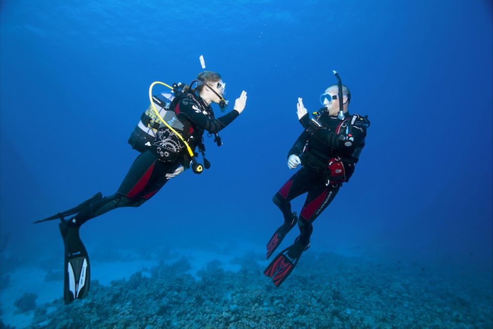 Sesimbra: Open Water Course - Description: Diving in Colorful Landscapes