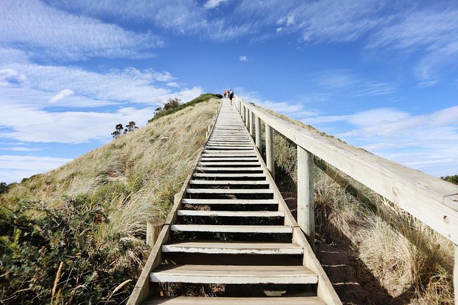 SHORE EXCURSION - Full-Day Guided Bruny Island Tour From Hobart - Practical Tour Details and Tips