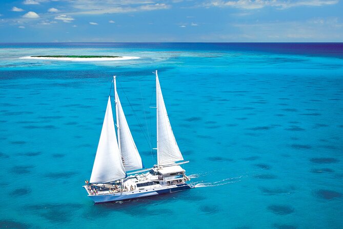 Ultimate 3-Day Great Barrier Reef Cruise Pass - Reviews and Testimonials