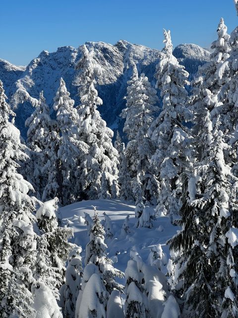 Vancouver: North Shore Mountains Snowshoeing With Transfer - Important Note