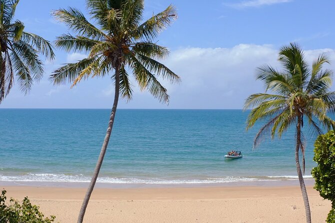 360 Boat Experience to Circumnavigate Magnetic Island - Meeting Point and Departure Time