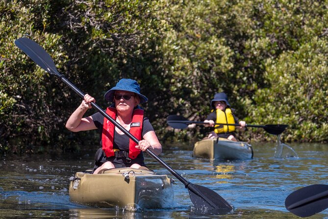 Bermagui River Kayak Tour - Scenic Route and Endpoints