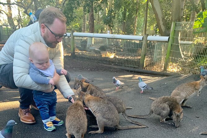 Blue Mountains Private Tour From Sydney, & Featherdale Aussie Animal Park Option - Health and Safety Precautions