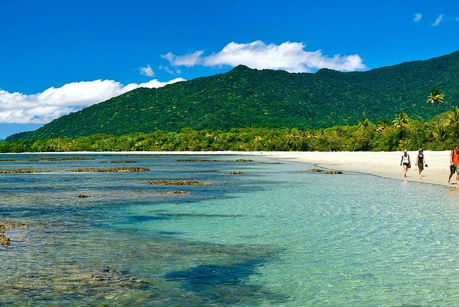 Cape Tribulation, Mossman Gorge and Daintree Rainforest Day Tour - Cape Tribulation Access Information