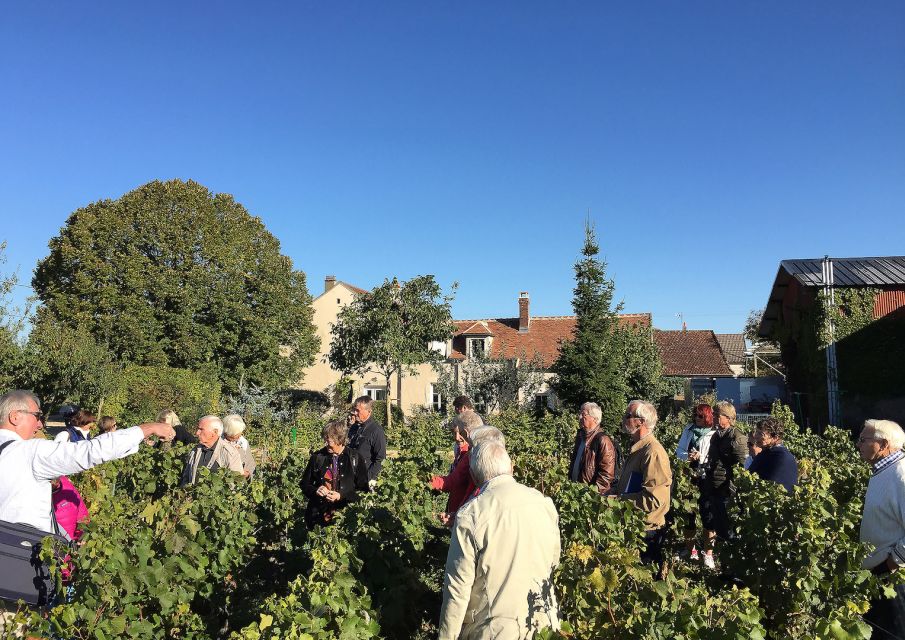 Chablis Clotilde Davenne Visit and Tasting in English - Wine Tasting Experience Details