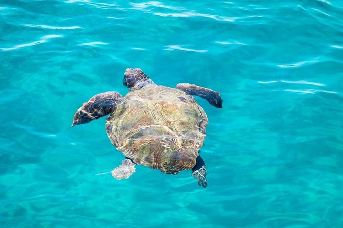 Cruise to Turtles Island and Caves With a Glass Bottom Boat - Negative Reviews