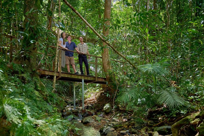 Daintree Rainforest and Cape Tribulation Day Tour From Cairns - Planning and Preparation