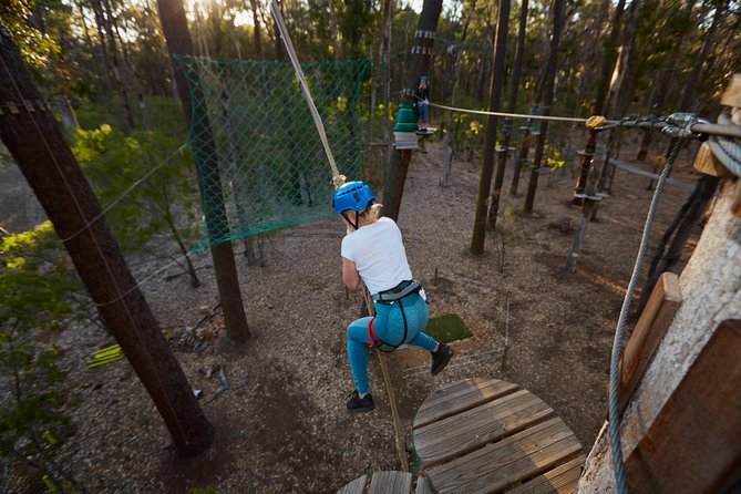 Forest Adventures - Meeting Point and Directions