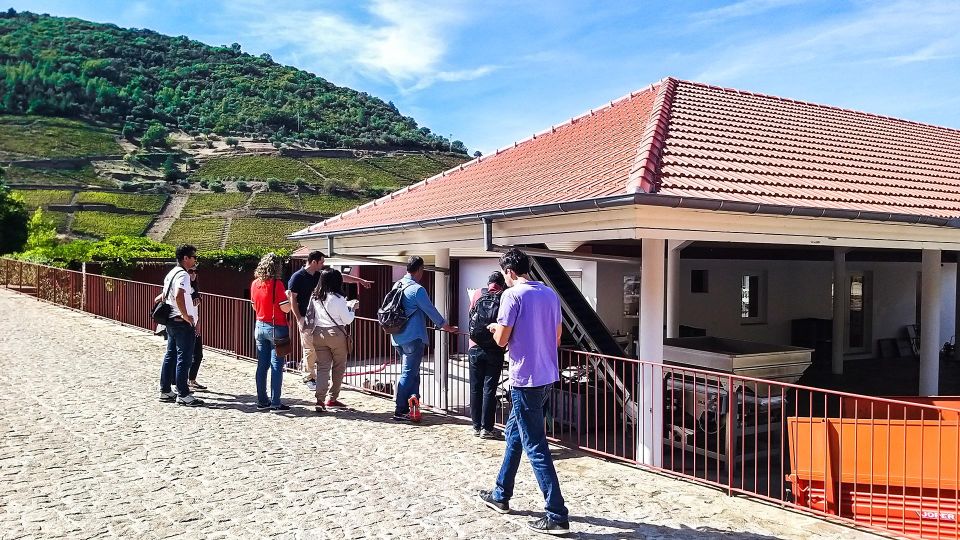 Foz Côa & Douro Private Tour: Rock Carvings and Superb Views - Common questions