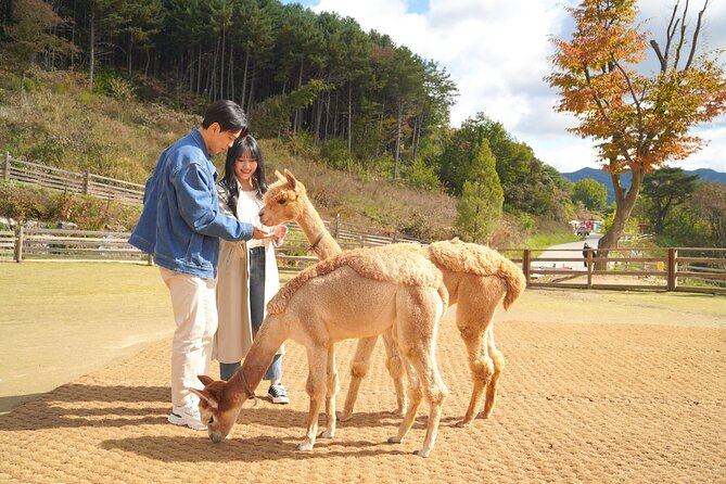 Full-Day Legoland and Alpaca World Guided Tour From Seoul - Tour Logistics and Details