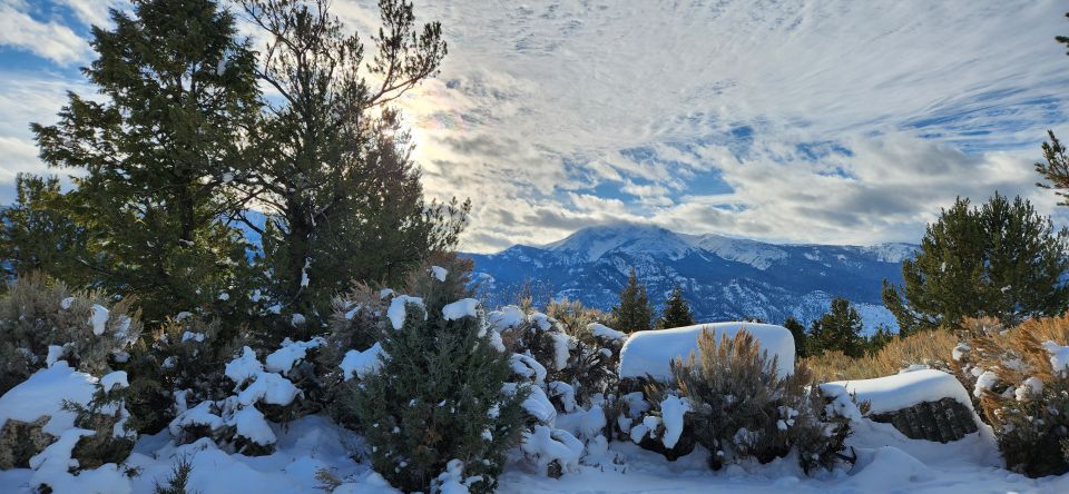 Gardiner: Yellowstone National Park Wildlife Guided Tour - Benefits of Choosing This Tour