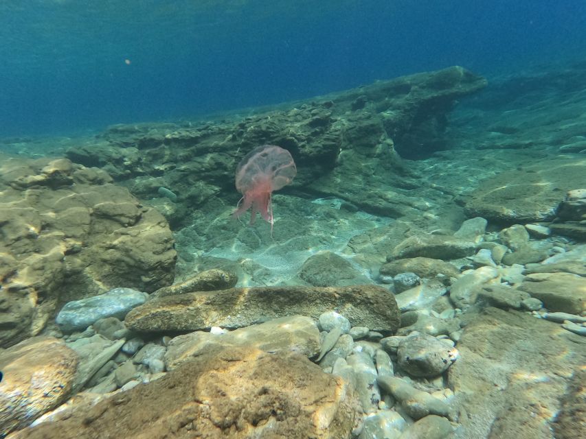 Heraklion: Beginners Intro Dive W/2 Dives With Transfer. - Common questions