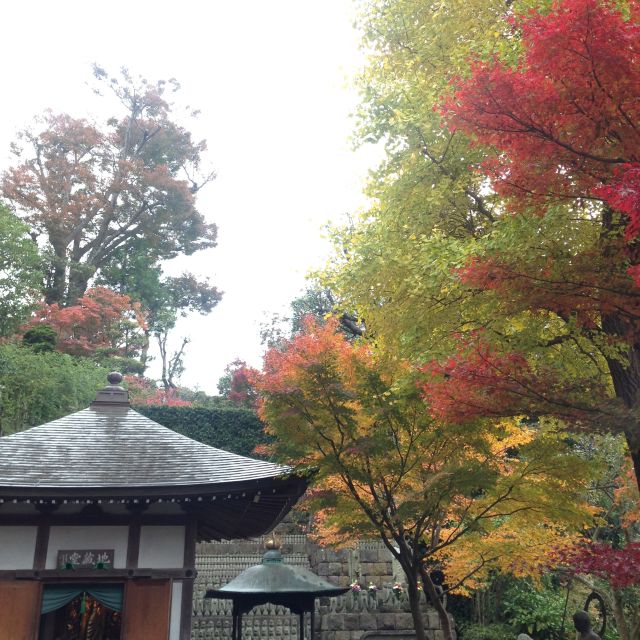 Kamakura: Great Buddha, Hase Temple, & Komachi Street Tour - Exploring Komachi Street