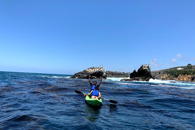 Laguna Beach Open Ocean Kayaking Tour With Sea Lion Sightings - Final Words