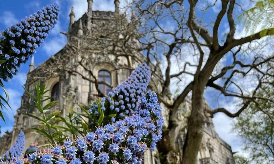 Lisbon: Quinta Da Regaleira, Sintra and Cascais - Booking Information