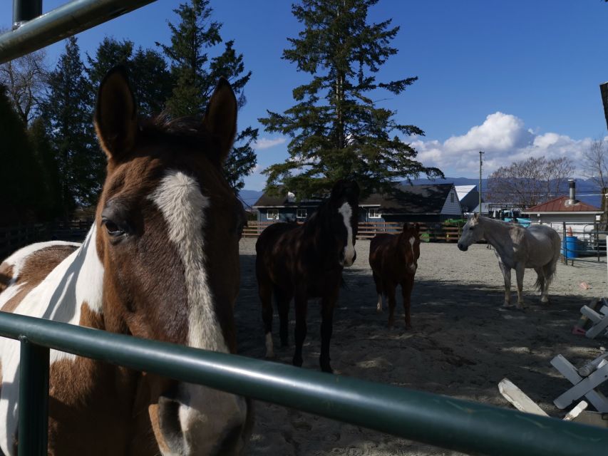 Maple Ridge: City Highlights Private Tour - Final Words