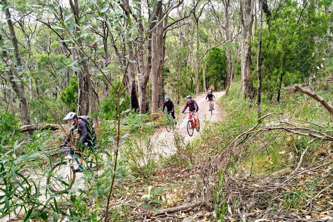 Mount Lofty Descent Bike Tour From Adelaide - What to Expect and Prepare