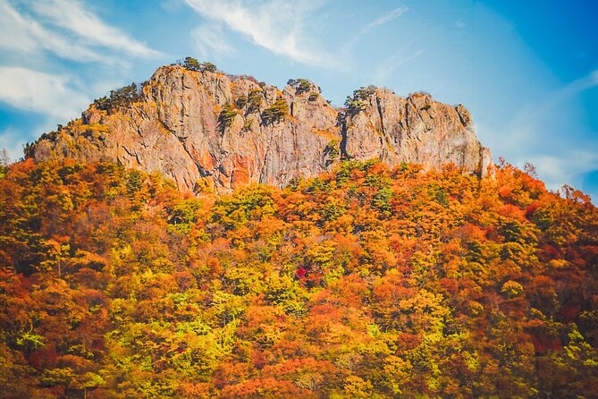 Mt. Naejang Sightseeing Trip From Seoul - Tips for a Memorable Trip