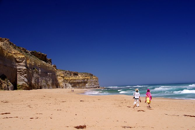 Premium Great Ocean Road Day Tour: Surf Coast Route 12 Apostles, Loch Ard Gorge - Top Attractions and Landmarks