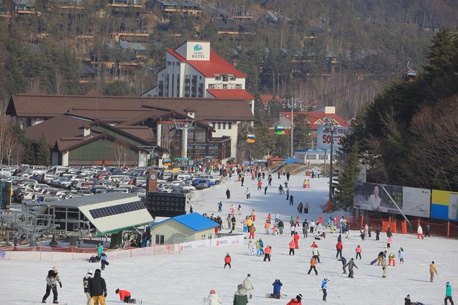 [Premium Private Ski Tour] Pyeongchang Olympic Site (Private Ski Lesson) - Pricing and Packages