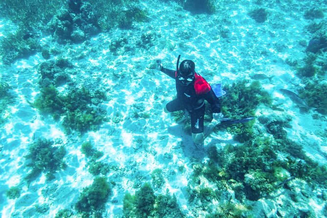 Rottnest Island Guided Snorkel Boat Experience - Real Reviews From Travelers