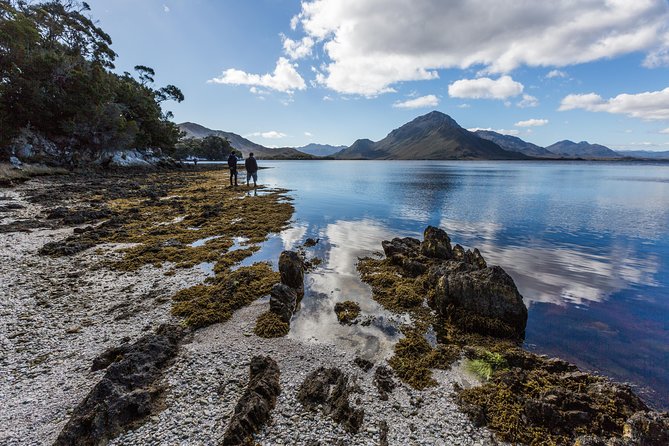 Southwest Tasmania Wilderness Experience: Fly Cruise and Walk Including Lunch - Expert Guides and Commentary