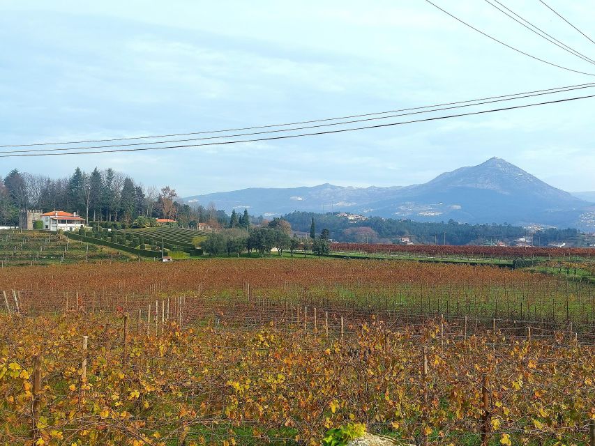 Vinho Verde Route - Private Wine Experience Including Lunch - Directions