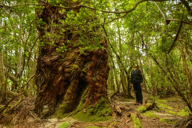 3-Day Southwest National Park Wilderness Camping Tour - What to Expect and Reviews