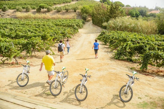 Barcelona Ebike Beach Tour to Vineyards, Wine Tasting & Picnic - Common questions