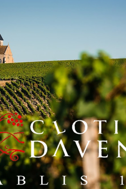 Chablis Clotilde Davenne Visit and Tasting in English - Important Information and Rules