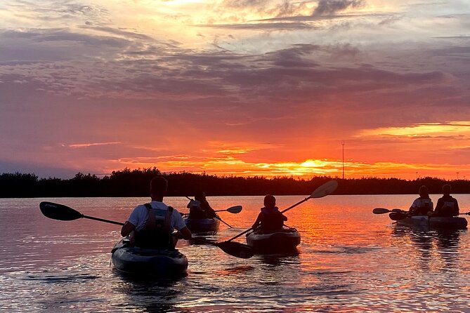 Cocoa Beach Small-Group Bioluminescent Sunset Kayak Tour - Pricing and Availability