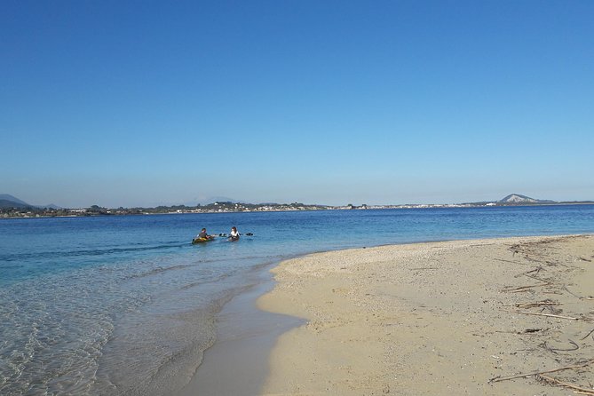 Cruise to Turtles Island and Caves With a Glass Bottom Boat - Tourist Destination Review