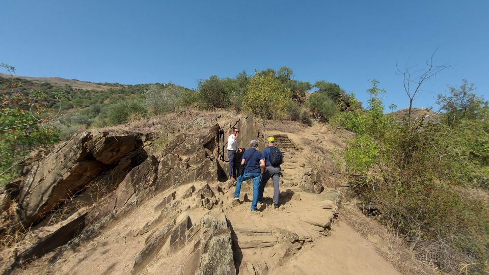 Foz Côa & Douro Private Tour: Rock Carvings and Superb Views - Final Words