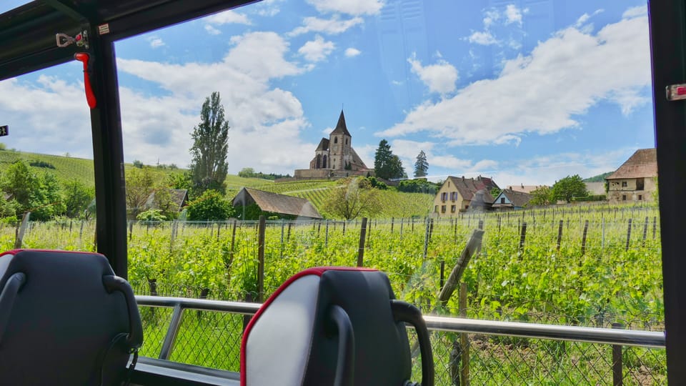 From Colmar: Alsace Medieval and Wine Tasting Day Tour - Reviews