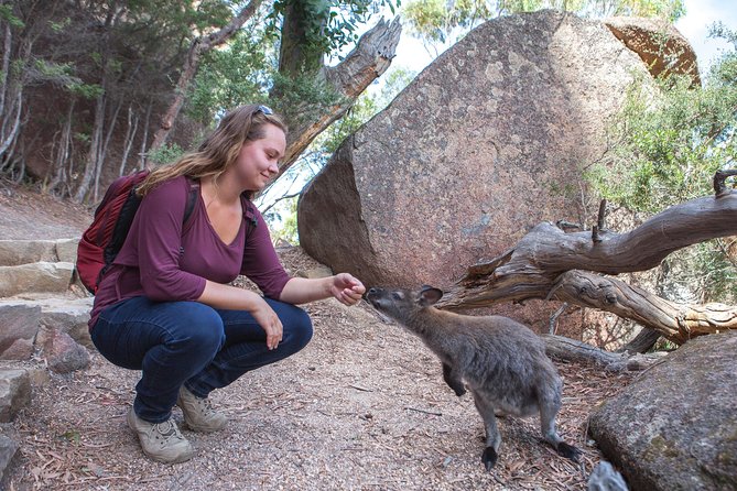 Hobart to Launceston via Wineglass Bay - Active One-Way Day Tour - Ratings and Reviews Summary