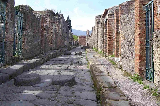 Naples Shore Excursion: Pompeii Half Day Trip From Naples - Suggestions for Future Improvement