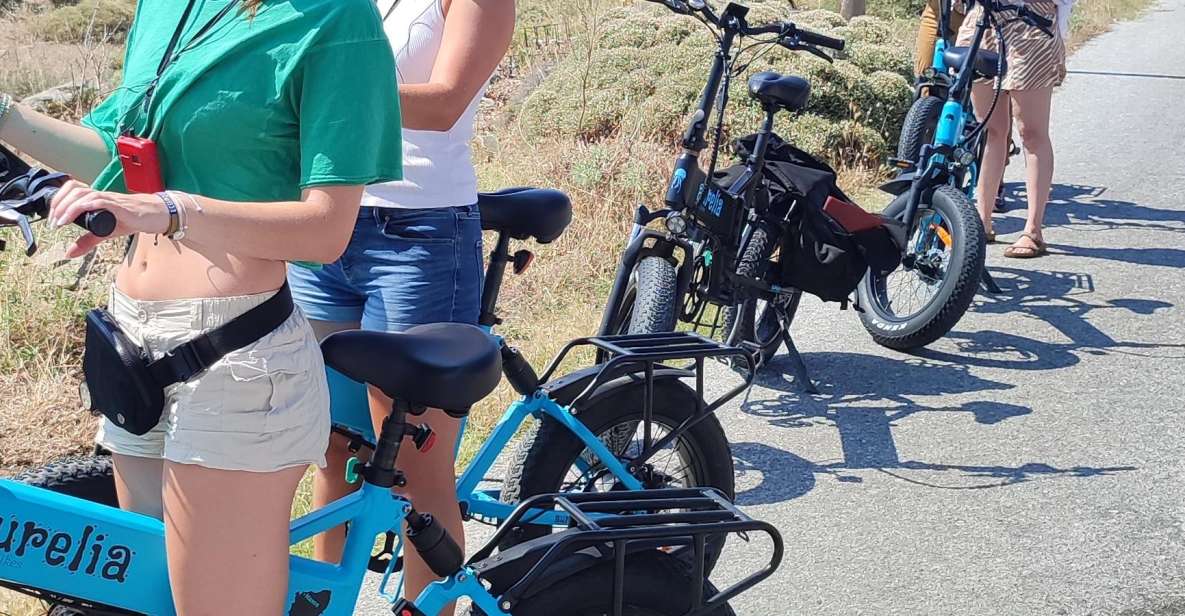 Naxos: E-Bike Guided Tour With Light Farmyard Lunch - Suitable Participants