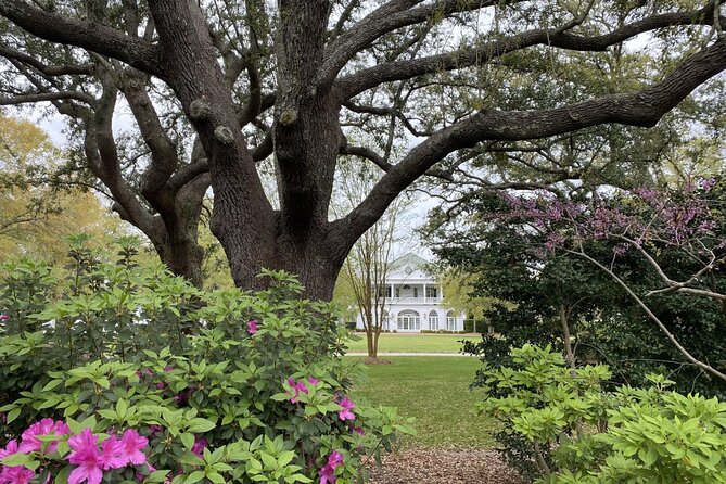 Outer Banks Film Locations Tour - Common questions