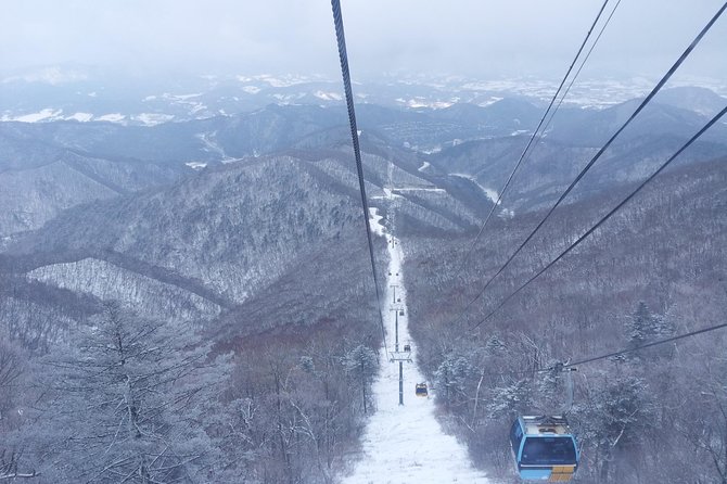 [Premium Private Ski Tour] Pyeongchang Olympic Site (Private Ski Lesson) - Booking and Cancellation