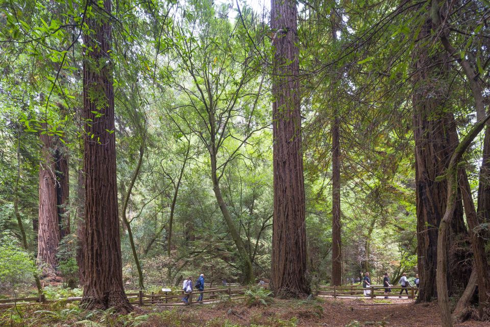 From San Francisco: Muir Woods, Sausalito and Alcatraz Tour - Final Words