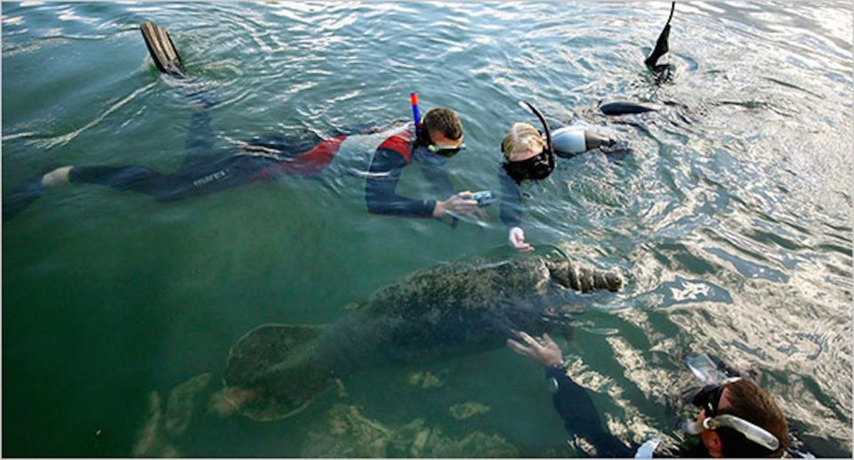 Orlando: Swim With Manatees and Homosassa State Park Visit - Common questions